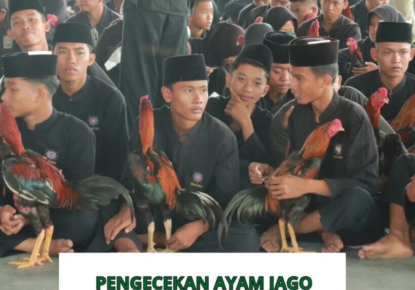 IMG-20250611-WA0000